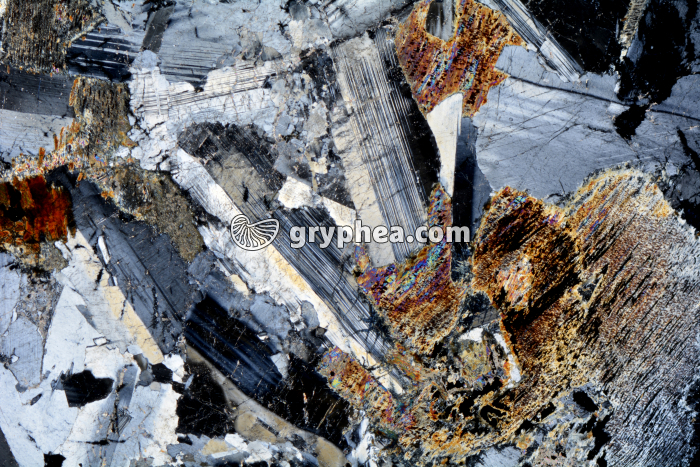 Métagabbro à Hornblende LPA x3,5 - gryphea.org